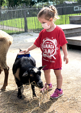 Girl at Racine Zoo summer camp combing a black goat